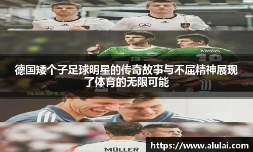 mk体育有限公司